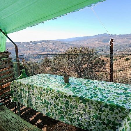 La Fattoria Di Gio' E Lory Hotel Grottole Exterior foto